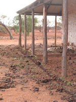 Evidence of recent rain at Mt Gould Police Stn & Lockup
